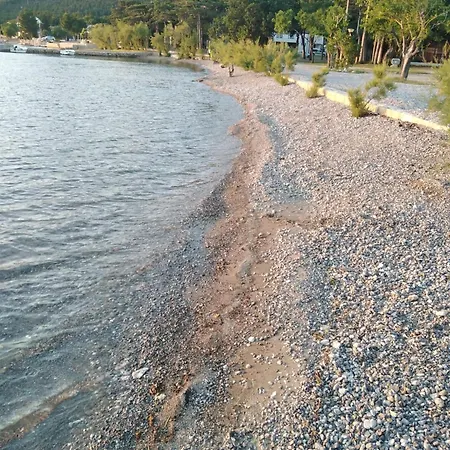Milka * Starigrad Paklenica